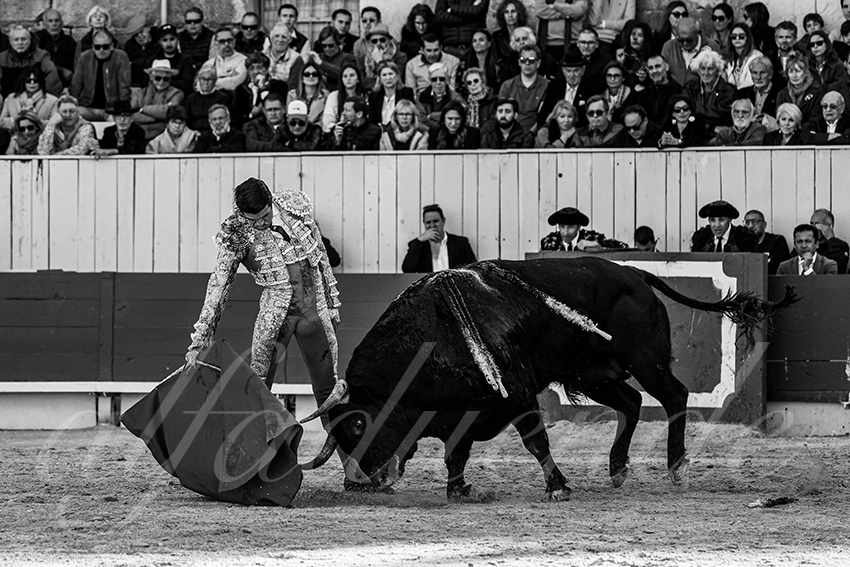 20250420 arles 004 fd