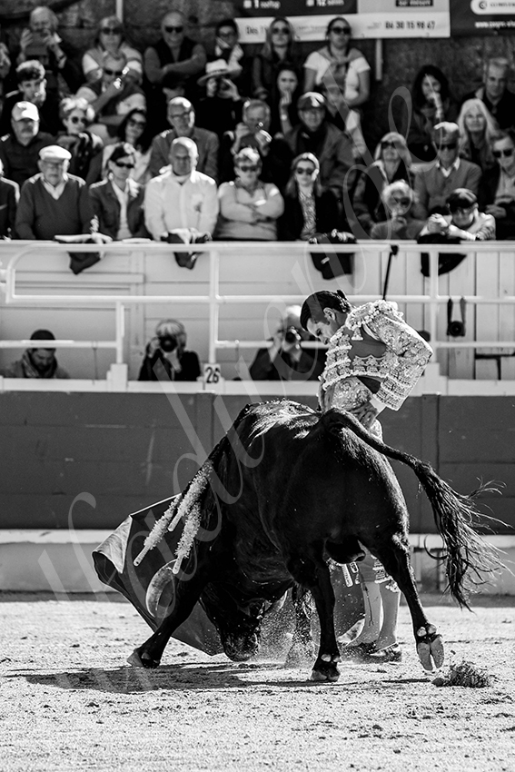 20250420 arles 003 fd