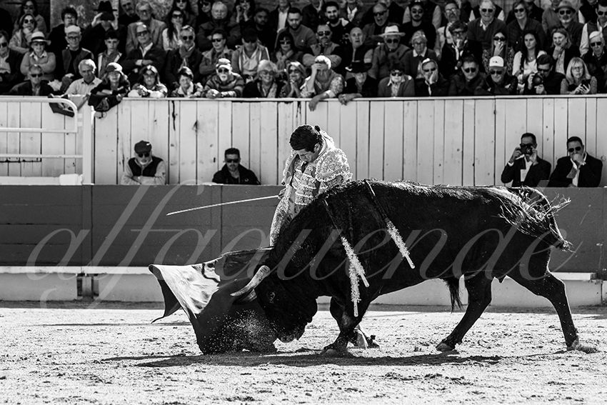 20250420 arles 002 fd