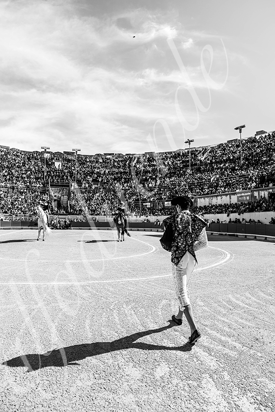 20250420 arles 001 fd