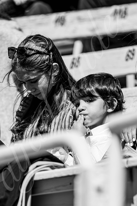 20250420 arles nov 017 fd