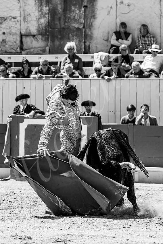 20250420 arles nov 016 fd