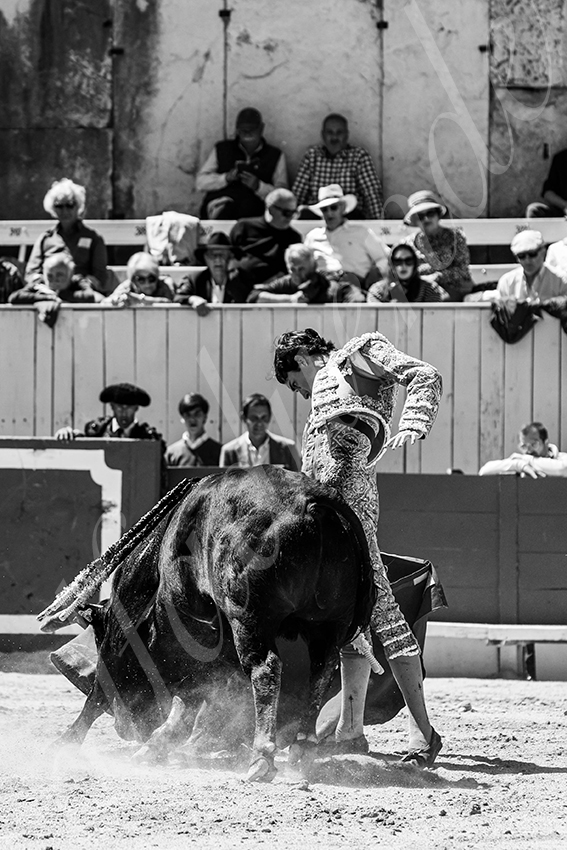 20250420 arles nov 015 fd