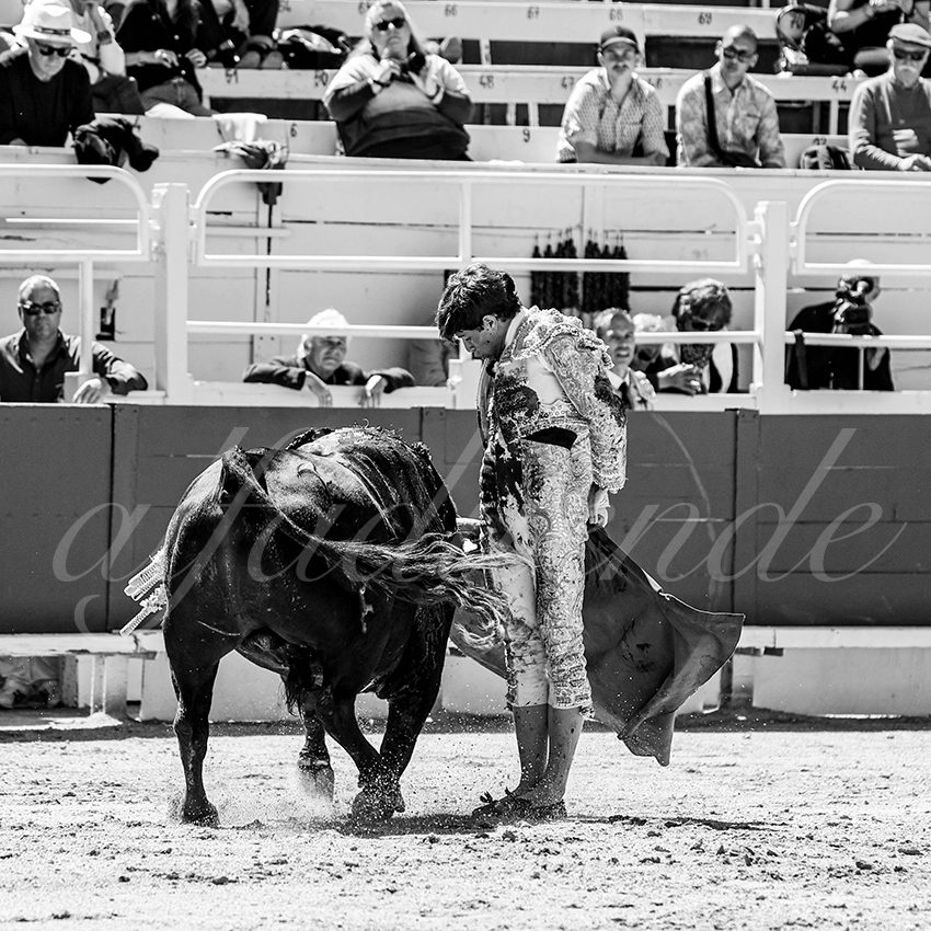 20250420 arles nov 013 fd