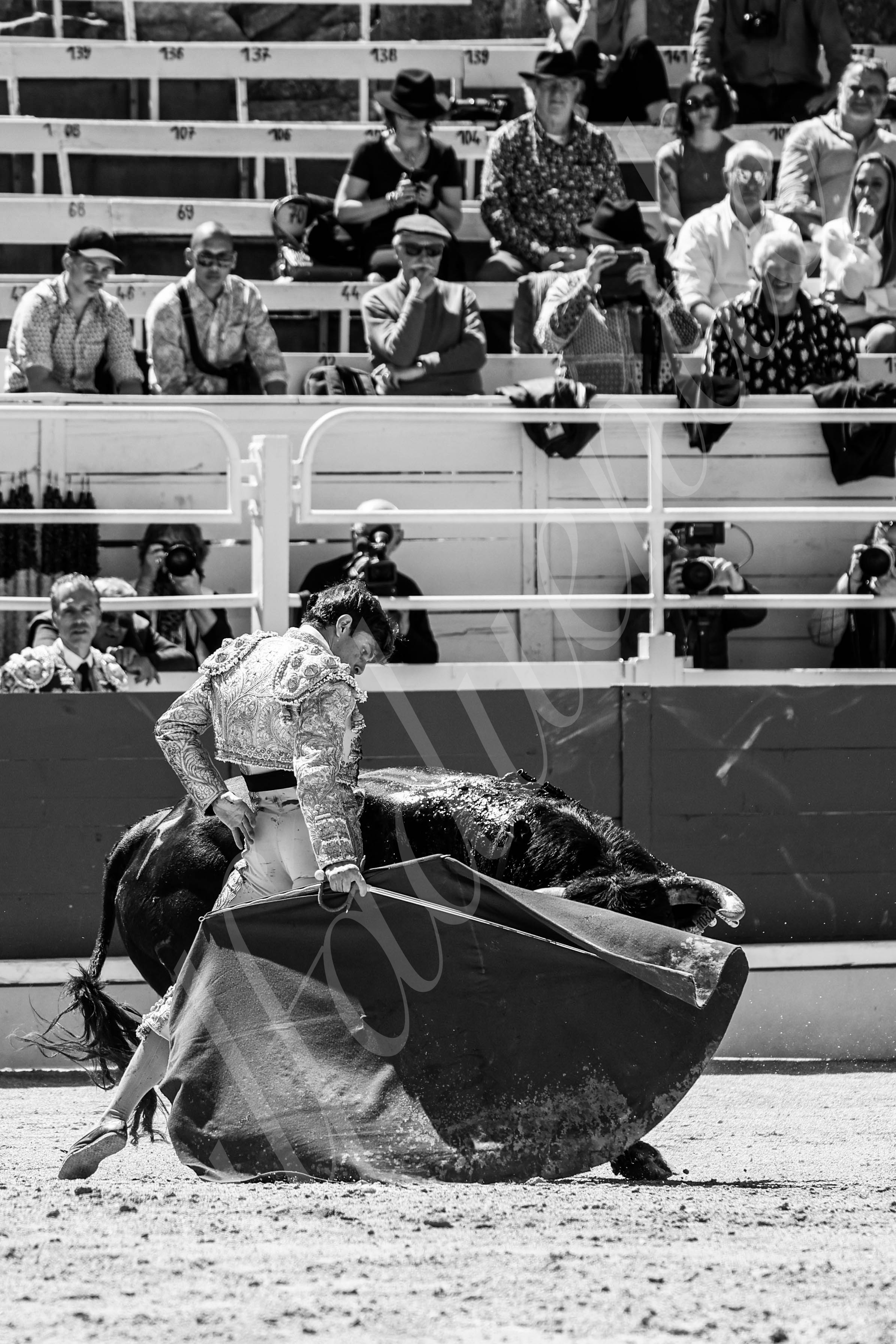 20250420 arles nov 012 fd