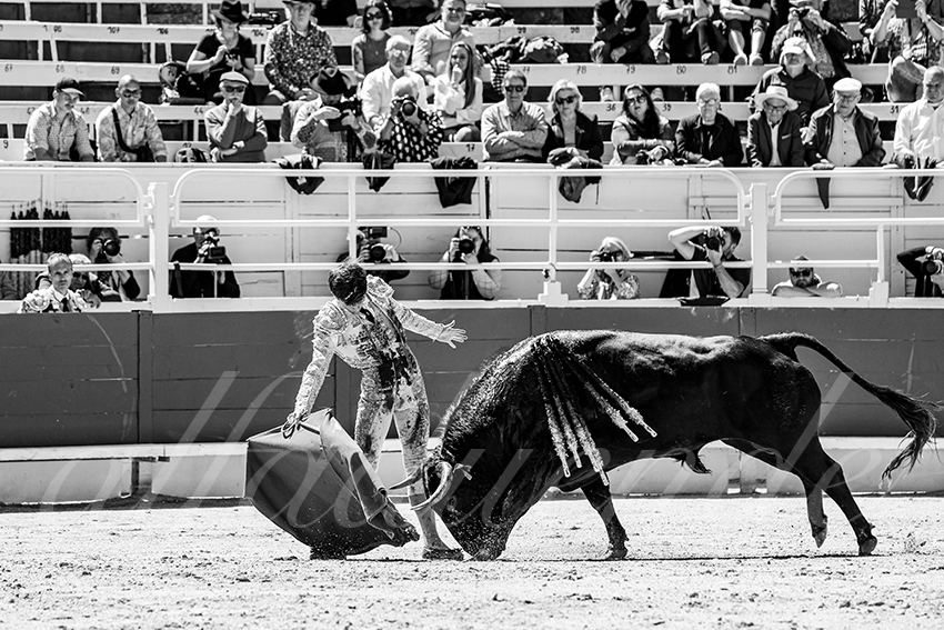 20250420 arles nov 011 fd