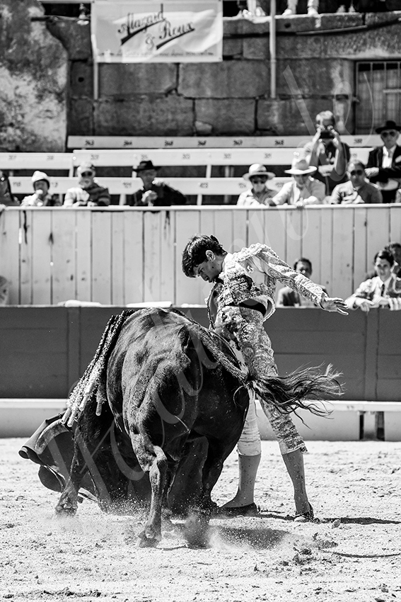 20250420 arles nov 010 fd