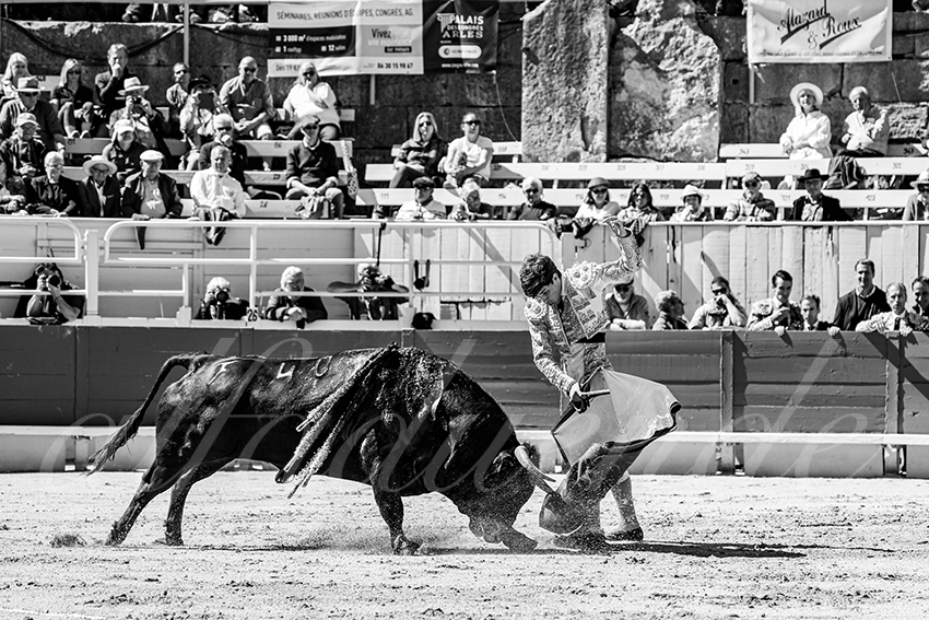 20250420 arles nov 009 fd