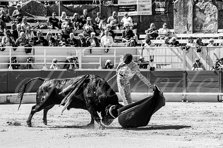 20250420 arles nov 008 fd