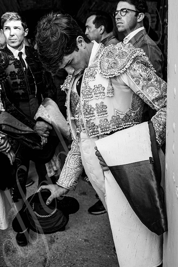 20250420 arles nov 001 fd