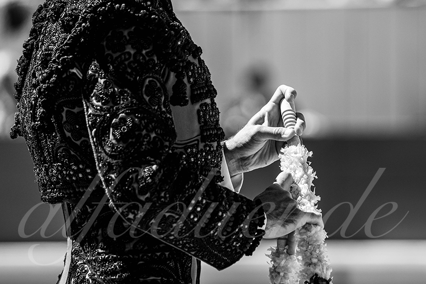 20250420 arles nov 004 fd