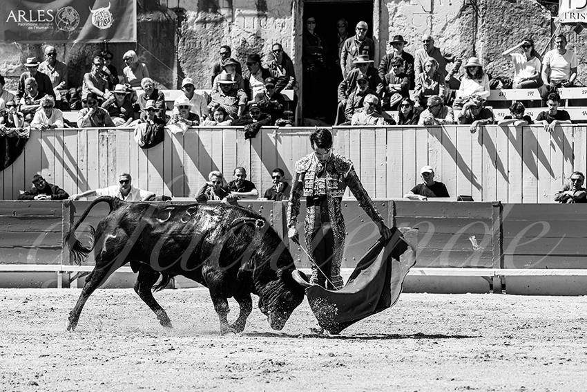 20250420 arles nov 003 fd