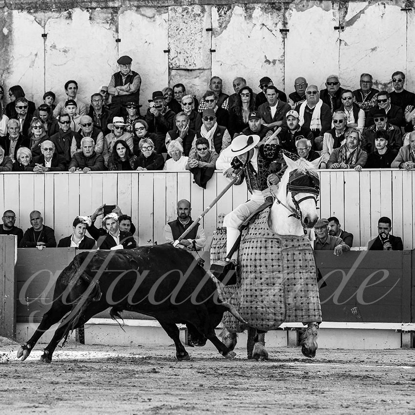 Arles 20250420 cuadrillas 002 copie