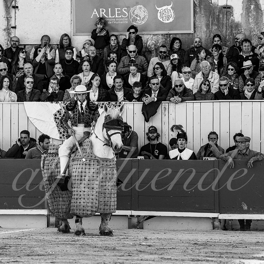 Arles 20250420 cuadrillas 001 copie