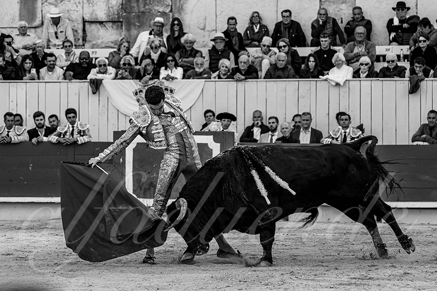 20250421 arles 015 fd