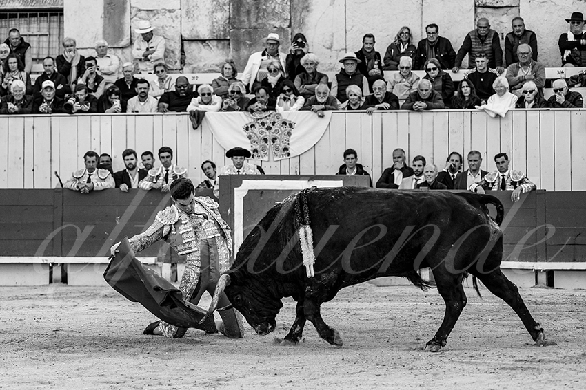 20250421 arles 014 fd