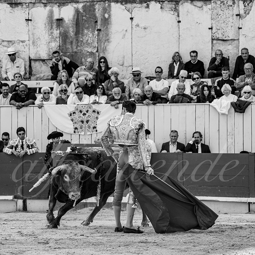 20250421 arles 013 fd