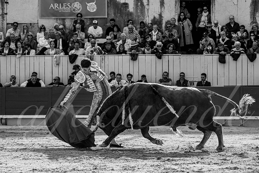 20250421 arles 012 fd