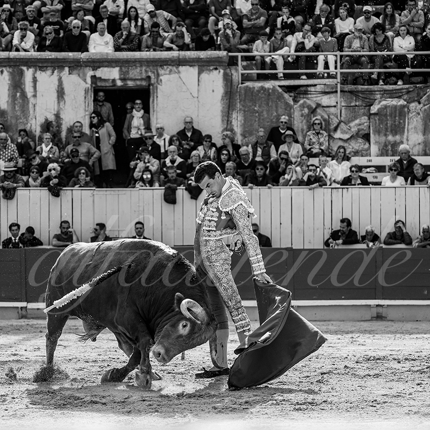 20250421 arles 011 fd