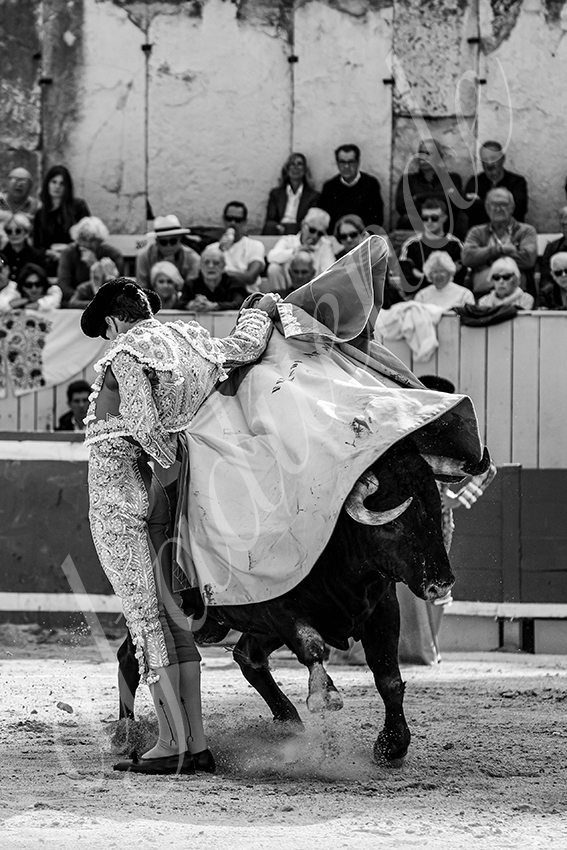 20250421 arles 010 fd