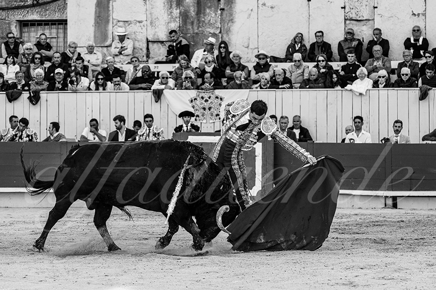 20250421 arles 009 fd