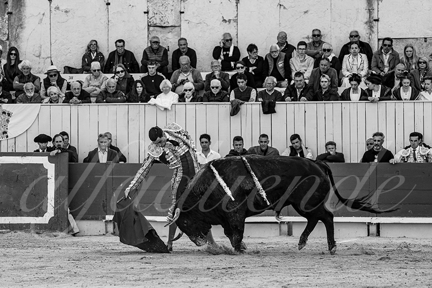 20250421 arles 008 fd