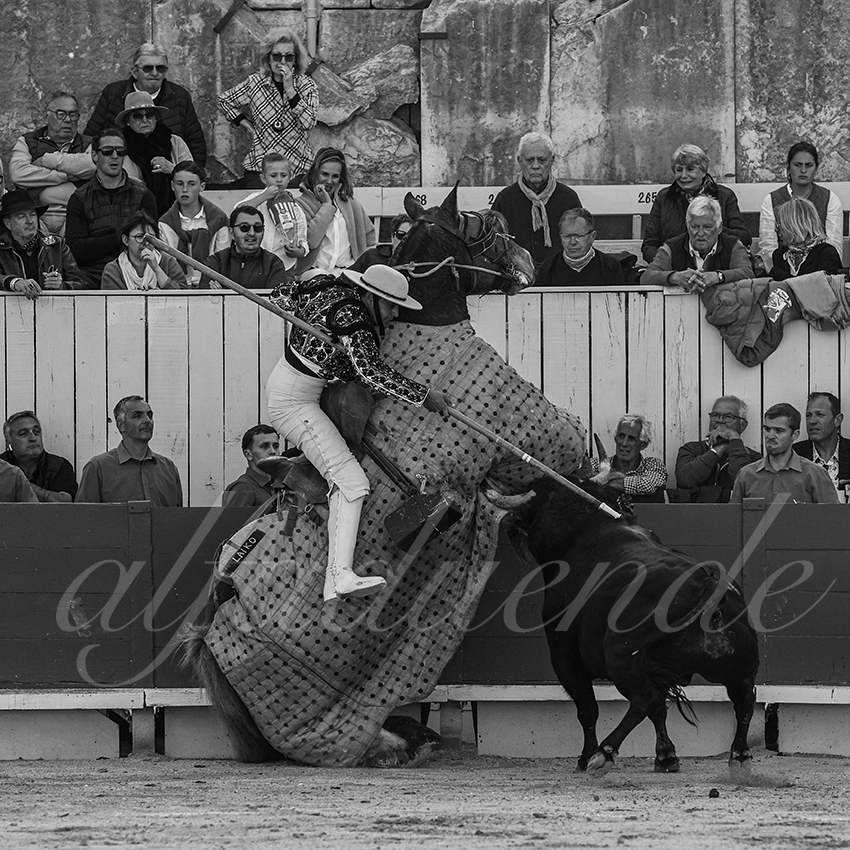 20250421 arles 007 fd