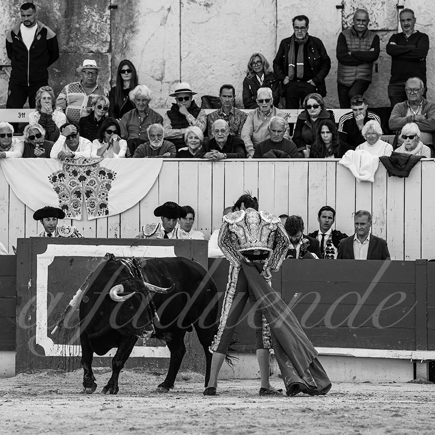 20250421 arles 006 fd