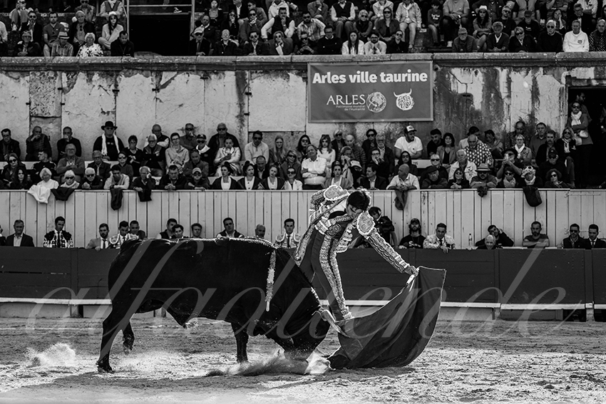 20250421 arles 005 fd