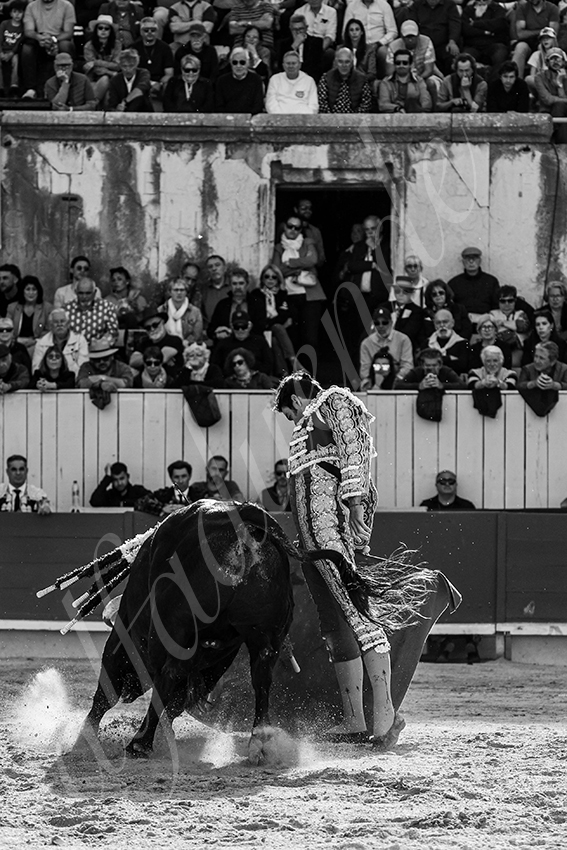 20250421 arles 004 fd