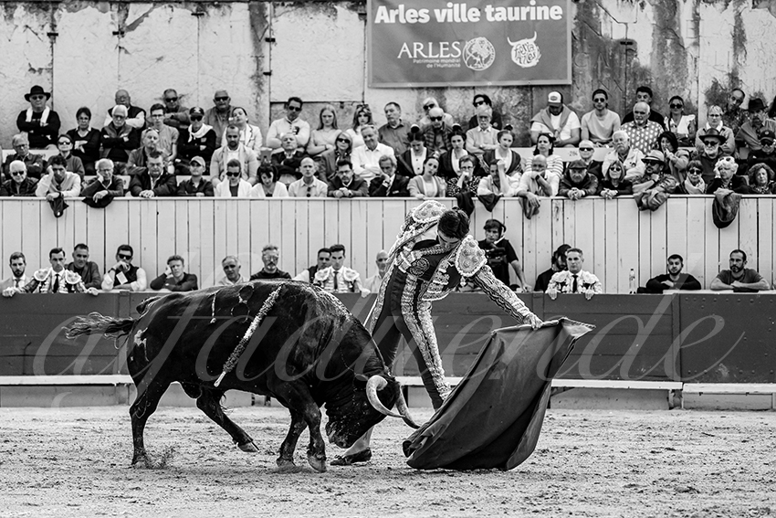 20250421 arles 003 fd