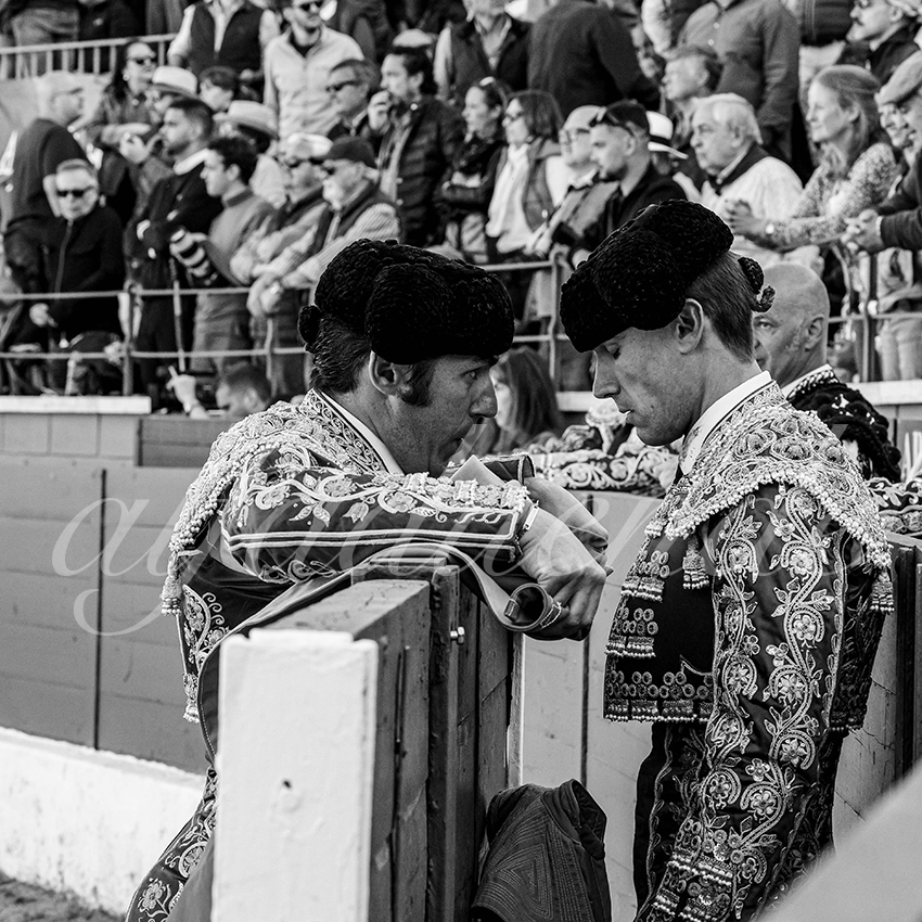 20250426 guadalix corrida 024 fd