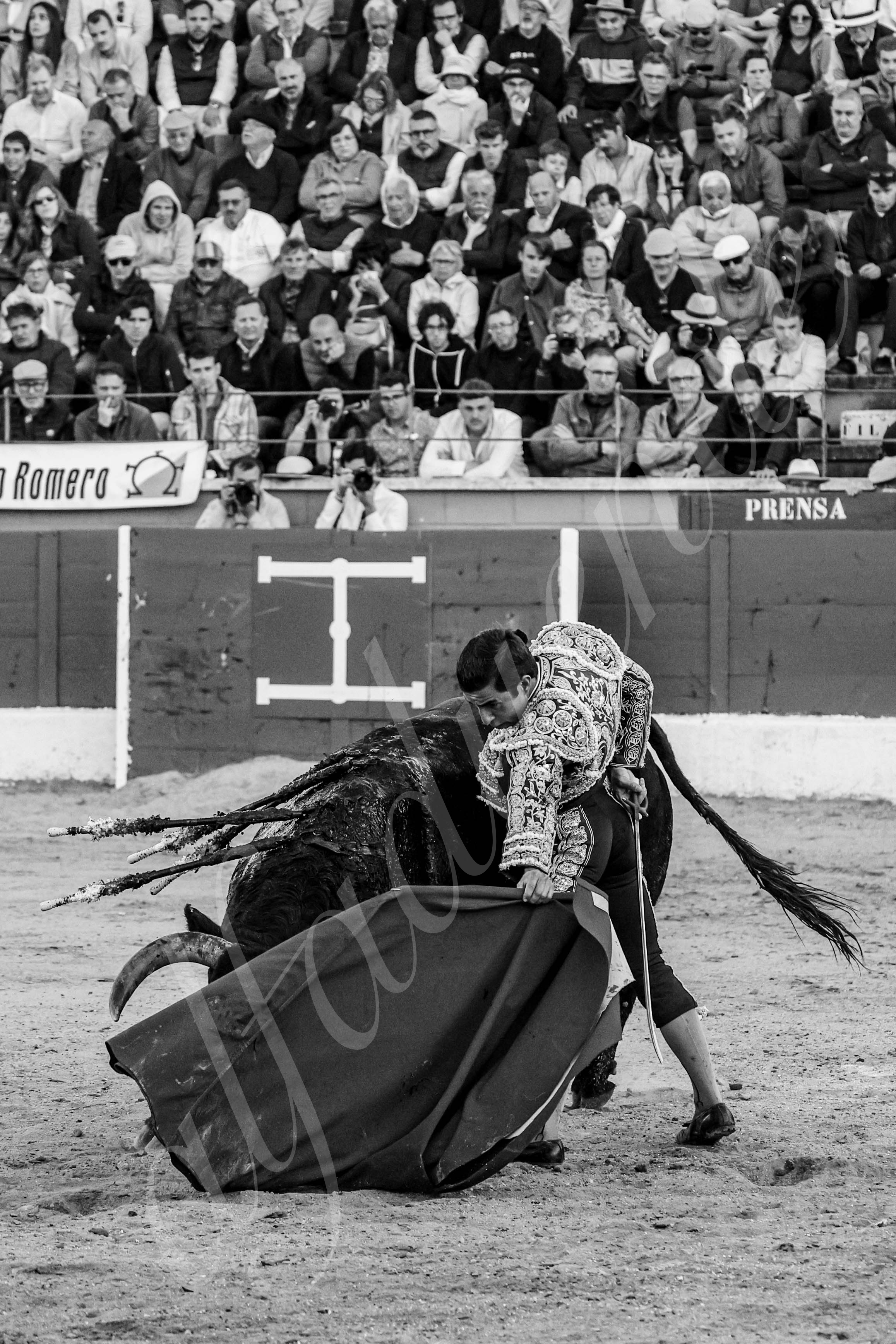 20250426 guadalix corrida 023 fd