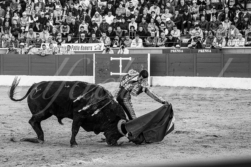 20250426 guadalix corrida 022 fd