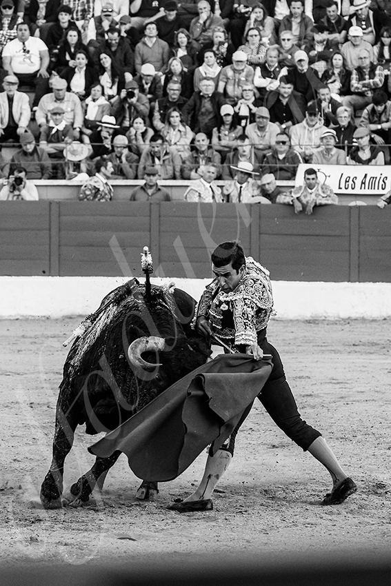 20250426 guadalix corrida 021 fd