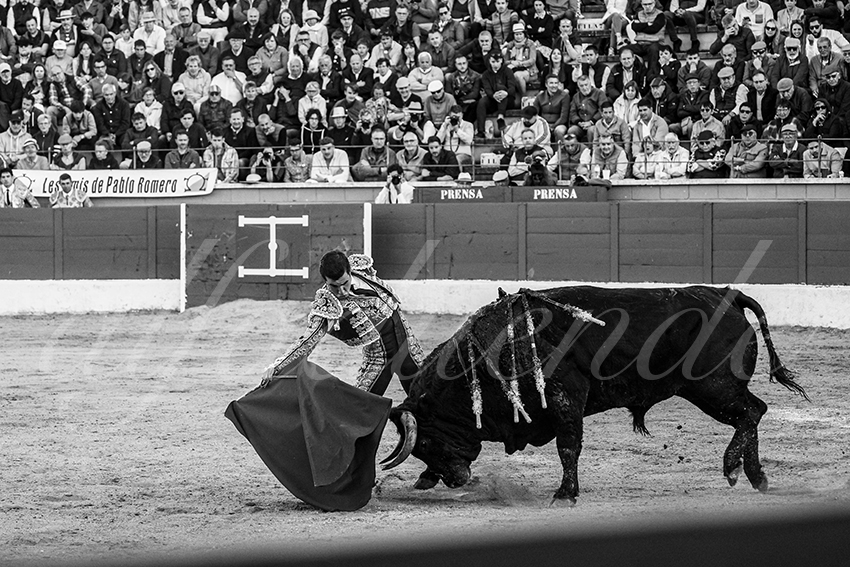 20250426 guadalix corrida 020 fd
