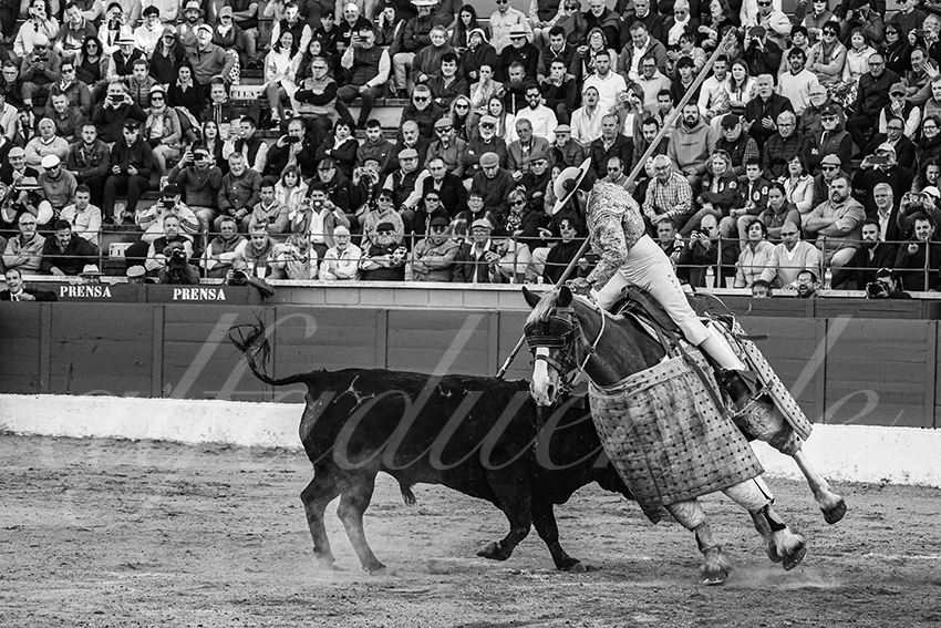 20250426 guadalix corrida 019 fd