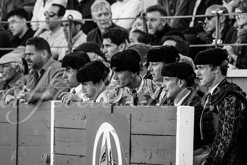 20250426 guadalix corrida 018 fd