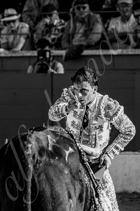 20250426 guadalix corrida 016 fd