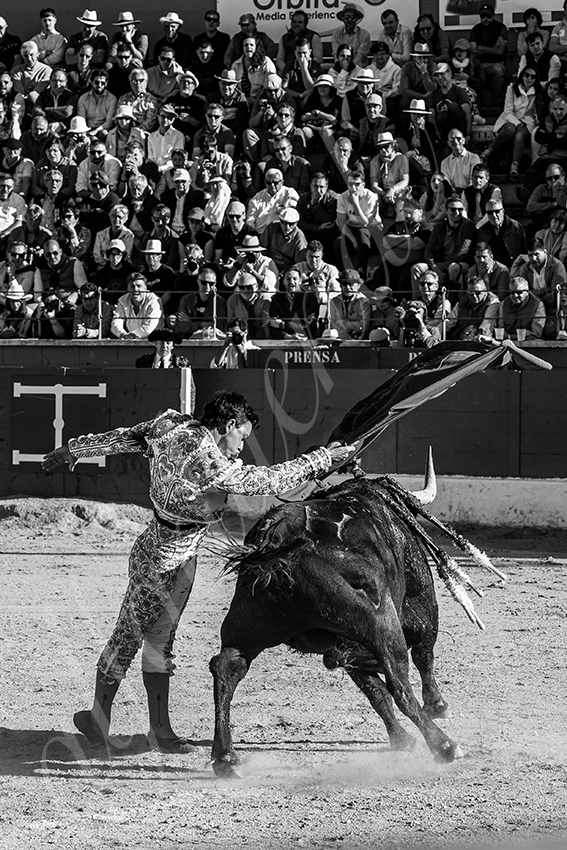 20250426 guadalix corrida 015 fd