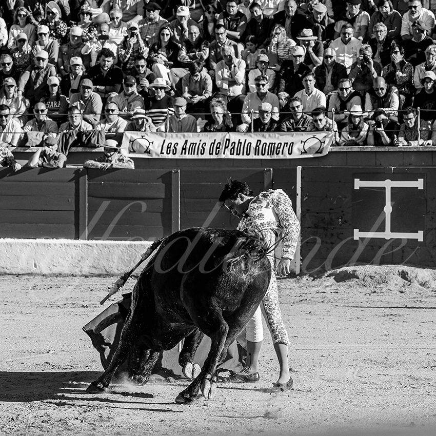 20250426 guadalix corrida 014 fd