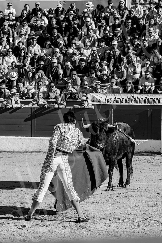 20250426 guadalix corrida 013 fd