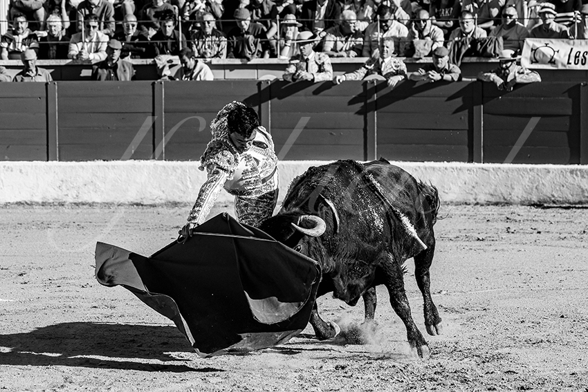 20250426 guadalix corrida 012 fd