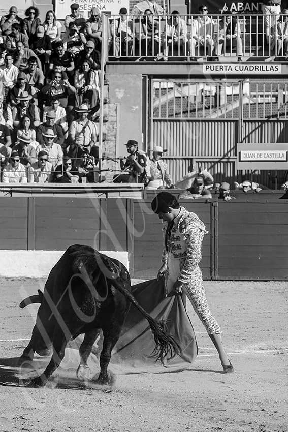 20250426 guadalix corrida 011 fd