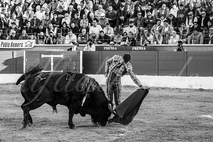 20250426 guadalix corrida 010 fd