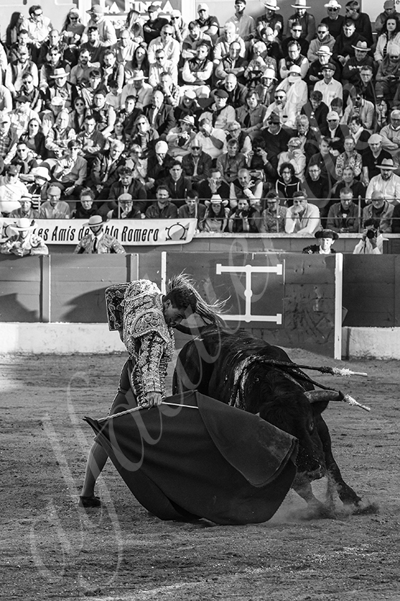 20250426 guadalix corrida 008 fd