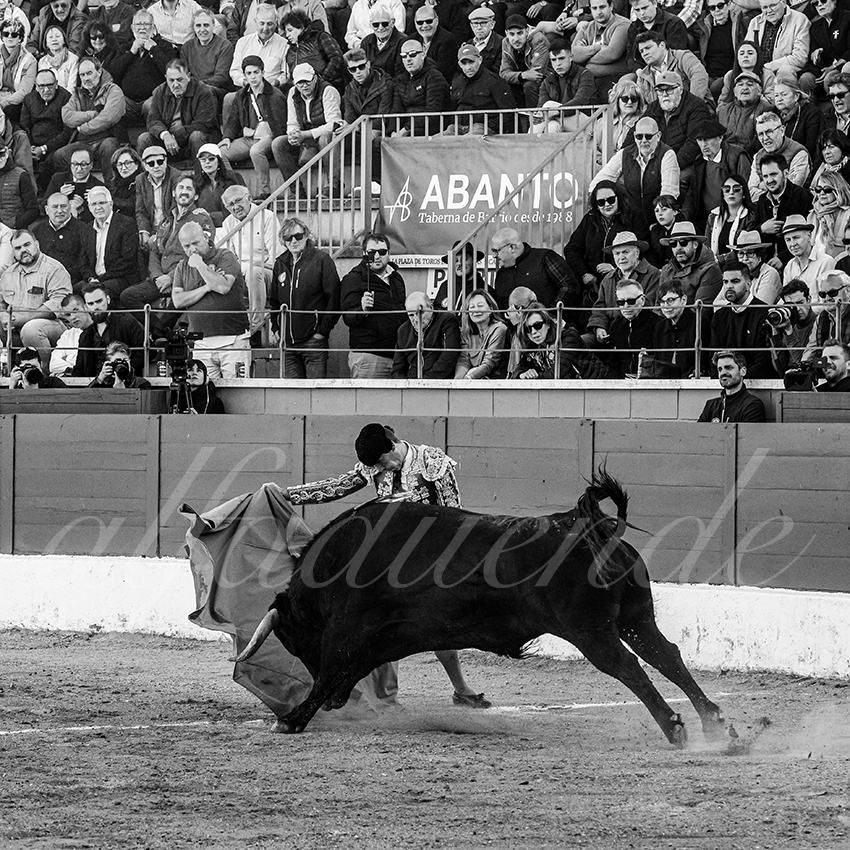 20250426 guadalix corrida 007 fd