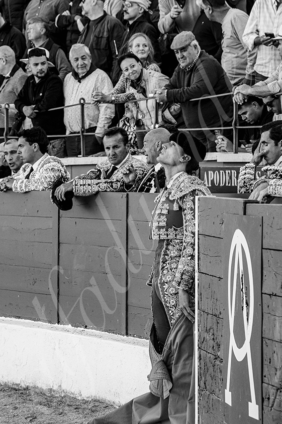 20250426 guadalix corrida 006 fd