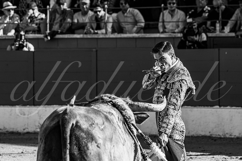 20250426 guadalix corrida 005 fd