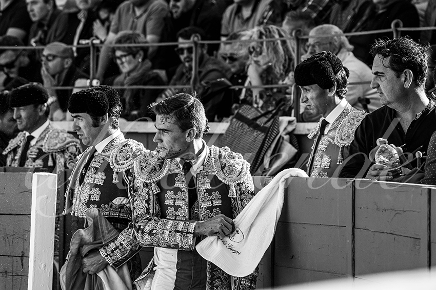 20250426 guadalix corrida 004 fd